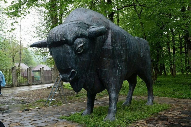 В Сочи в горах Красной Поляны установили скульптуру зубра. 16091.jpeg В Сочи в горах Красной Поляны установили скульптуру зубра. памятник, зубр, Сочи, Красная Поляна