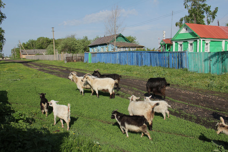 Село поднимут льготной ипотекой под 1% годовых. 15408.jpeg Село поднимут льготной ипотекой под 1% годовых. 15408.jpeg