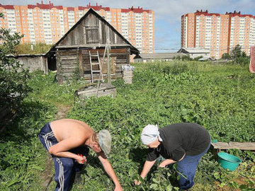 У дачников появится своя служба одного окна